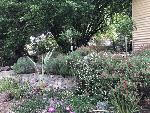 Adagio In Auburn - Accommodation Southport 10