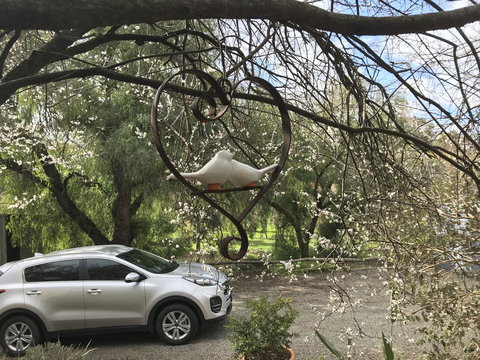 Adagio In Auburn - Accommodation Southport 3