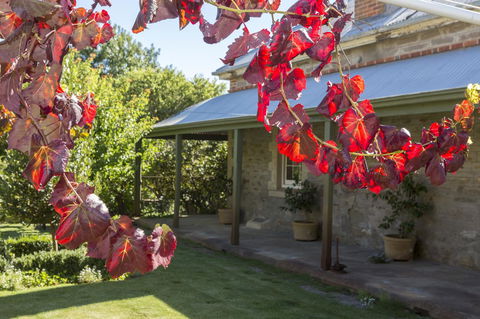 Grand Cru Estate Homestead - Southport Accommodation 0