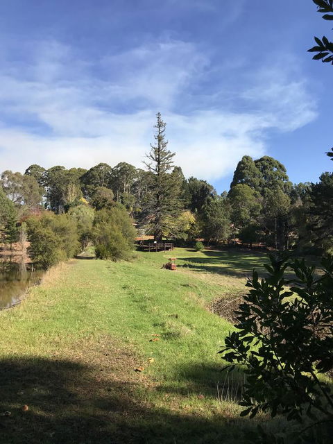 Forest Lodge Resort - Southport Accommodation 31