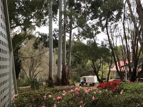 Forest Lodge Resort - Southport Accommodation 11