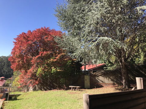 Forest Lodge Resort - Southport Accommodation 42