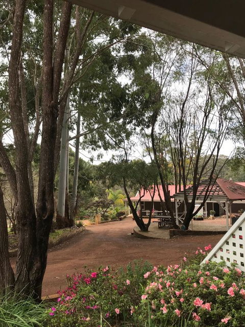 Forest Lodge Resort - Southport Accommodation 9