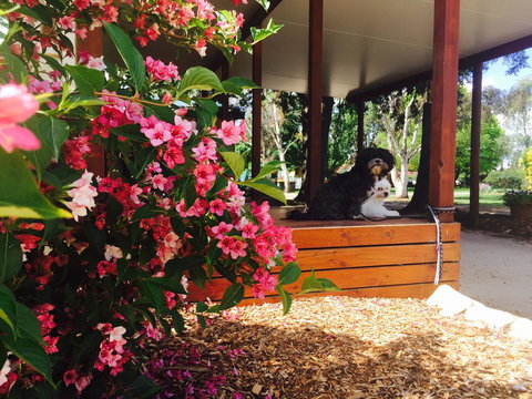 Armidale Tourist Park - Accommodation Southport 34