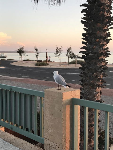 Shark Bay Seafront Apartments - Southport Accommodation 0