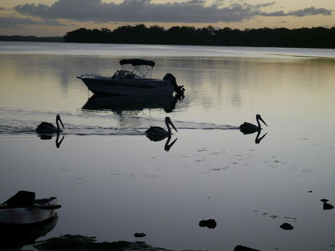 Dungowan Holiday Accommodation - Southport Accommodation 41