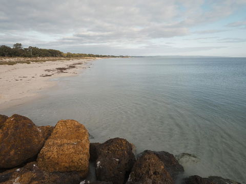 FortyOne - Oceanside Retreat Busselton - Southport Accommodation 1