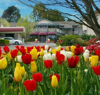 Nesuto Leura Gardens formerly Waldorf Leura Gardens Resort - Accommodation Southport