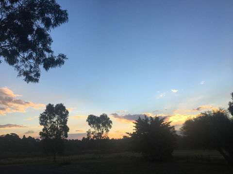 Junee Motor Inn - Southport Accommodation 26