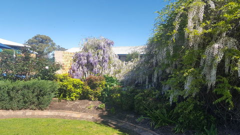 Almond Inn - Southport Accommodation 28