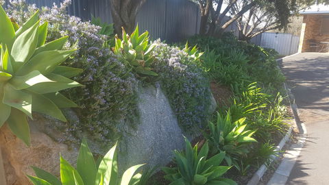 Almond Inn - Southport Accommodation 27