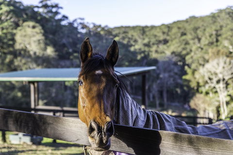 The Outlook Cabana - Southport Accommodation 19