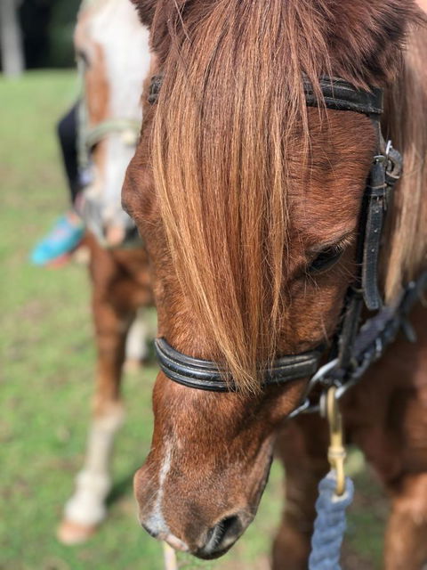 The Outlook Cabana - Southport Accommodation 17