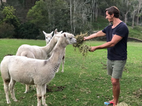 The Outlook Cabana - Southport Accommodation 20