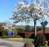 Hume Country Motor Inn - Southport Accommodation