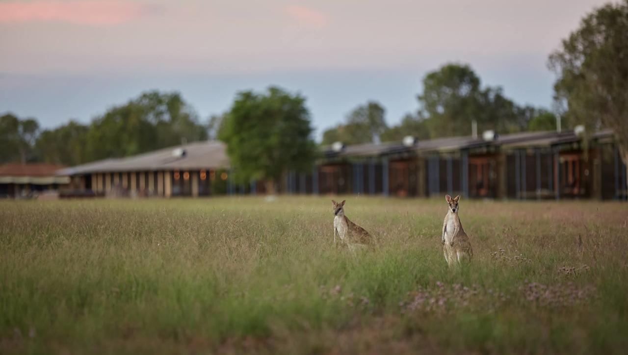 Lambells Lagoon NT Southport Accommodation