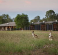 Wildman Wilderness Lodge - Southport Accommodation