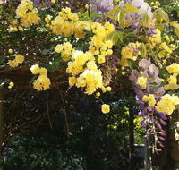 Bowral Road Bed and Breakfast - Southport Accommodation