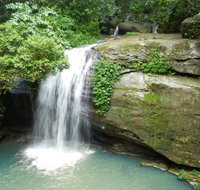 Buderim Forest Hideaway - Accommodation Southport