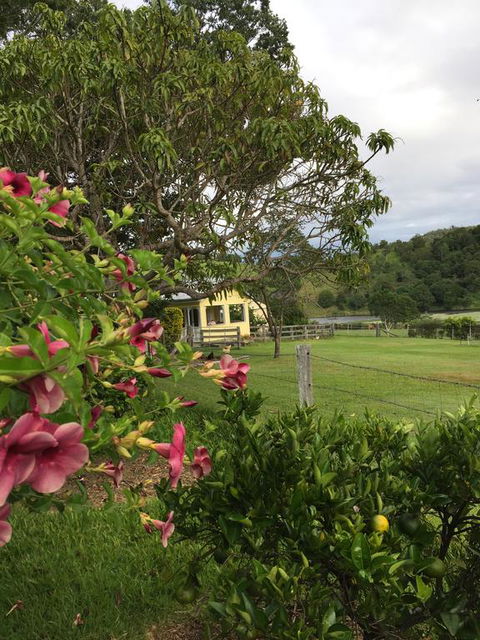 CedarBrae Country Stay - Southport Accommodation 2