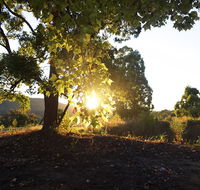 Clarendon Forest Retreat - Southport Accommodation