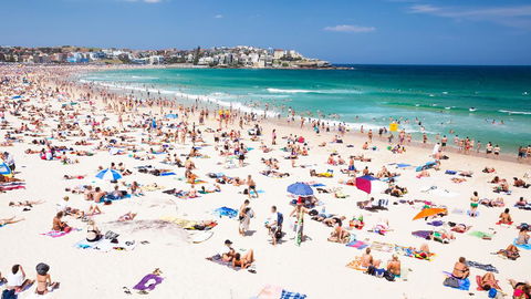 CLIFFSIDE: BONDI BEACH - Southport Accommodation 0