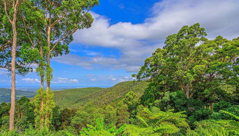 CLOUD 9 - Cliff Top Eagle Heights - Southport Accommodation 3