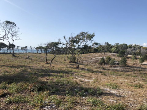 COONARR BEACH ( BUNDABERG )CAMPING - Southport Accommodation 2