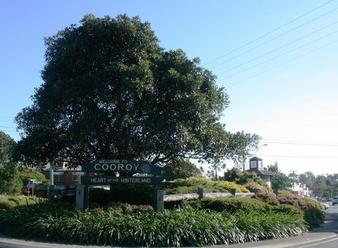 Cooroy Luxury Motel Apartments - Southport Accommodation 2