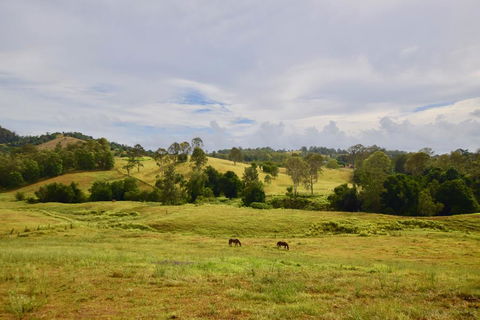 Country Breeze Farm Stay - Southport Accommodation 0