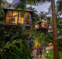 Daintree Ecolodge - Southport Accommodation