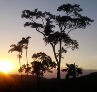 Daintree Holiday Homes - Yurara - Southport Accommodation
