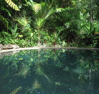 Daintree Rainforest Retreat Motel - Southport Accommodation