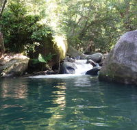 Daintree Secrets Rainforest Sanctuary - Southport Accommodation