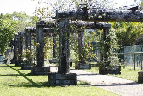Daintree Wild Bed & Breakfast - Southport Accommodation 2
