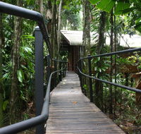 Daintree Wilderness Lodge - Southport Accommodation