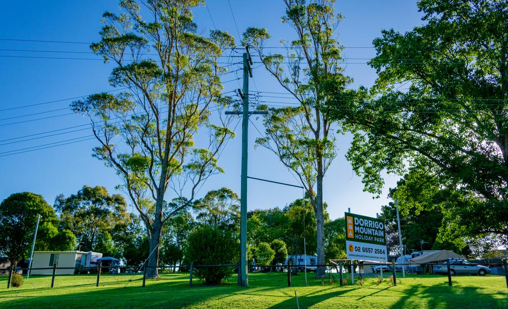 Dorrigo NSW Southport Accommodation