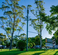 Dorrigo Mountain Holiday Park - Southport Accommodation