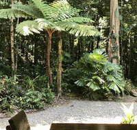 Forest Views Daintree - Southport Accommodation