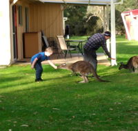 Kalgan River Chalets and Caravan Park - Southport Accommodation