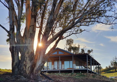 Kestrel Nest EcoHut - Southport Accommodation 0