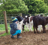 Manderley Park Farmstay BB - Southport Accommodation