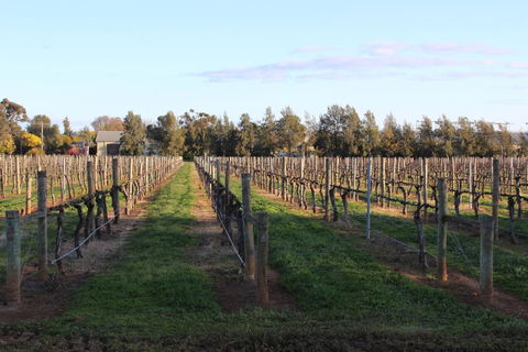 Milawa Vineyard Views - Guesthouse 1 - Southport Accommodation 1