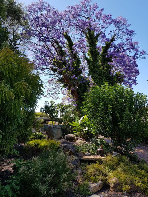 Jacaranda Hideaway Bed & Breakfast - Southport Accommodation 10