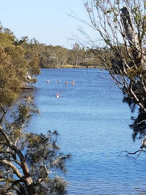 Jacaranda Hideaway Bed & Breakfast - Southport Accommodation 19