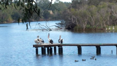 Jacaranda Hideaway Bed & Breakfast - Southport Accommodation 18