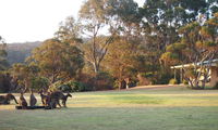 Book Walpole Accommodation Vacations Accommodation Southport Accommodation Southport