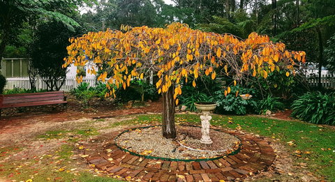 Adamsons Riverside Accommodation - Accommodation Southport 22