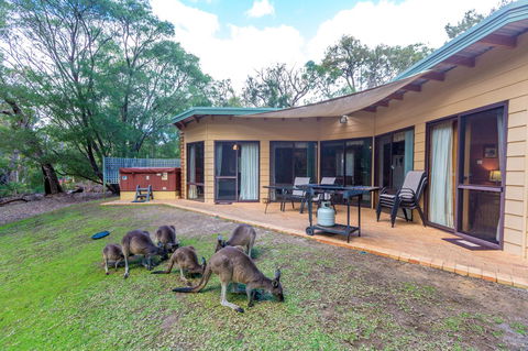 Yelverton Brook Conservation Sanctuary - Southport Accommodation 18