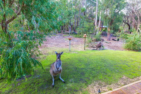 Yelverton Brook Conservation Sanctuary - Southport Accommodation 11